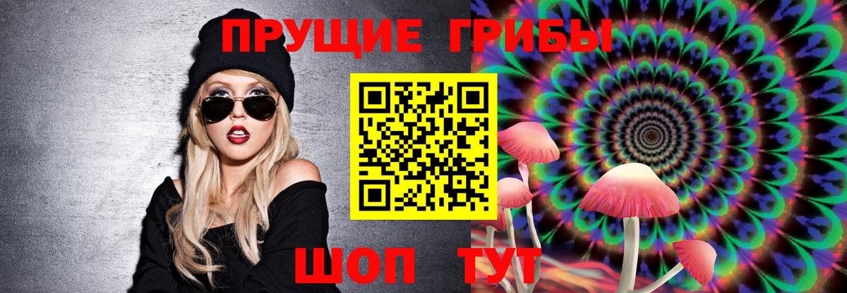 Волгоград  Псилоцибиновые грибы мухоморы  Вход с VPN 
